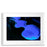 Foto imagen Eichholtz Philippe Vogelenzang - Nos vemos a medianoche